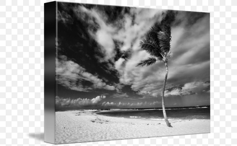 Paper Still Life Photography Picture Frames, PNG, 650x506px, Paper, Black And White, Cloud, Computer, Film Frame Download Free