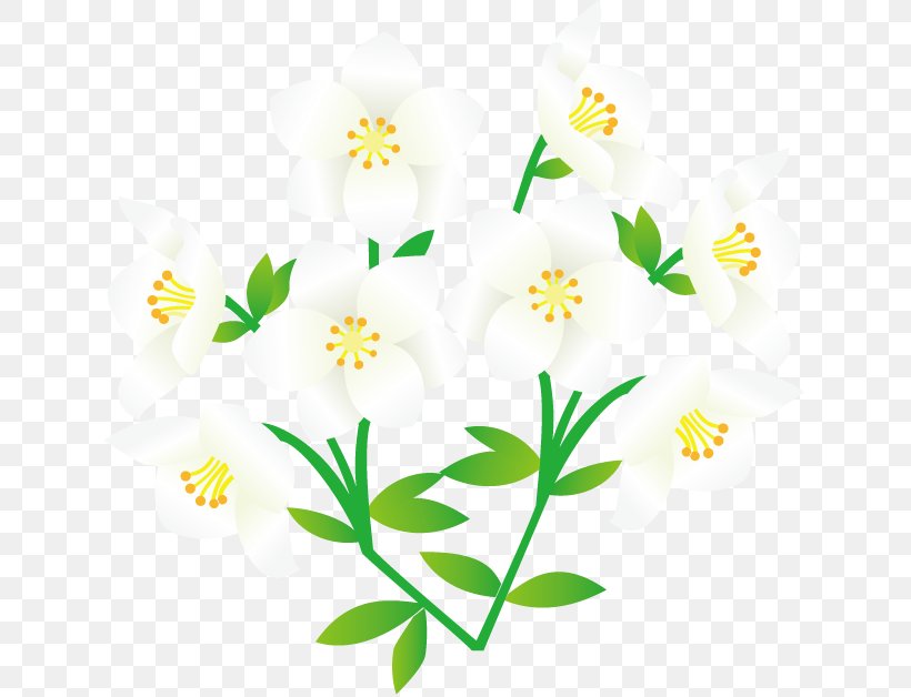 Cut Flowers Floral Design Clip Art, PNG, 631x628px, Flower, Cut Flowers, Cyclamen Persicum, Daffodil, Daisy Download Free
