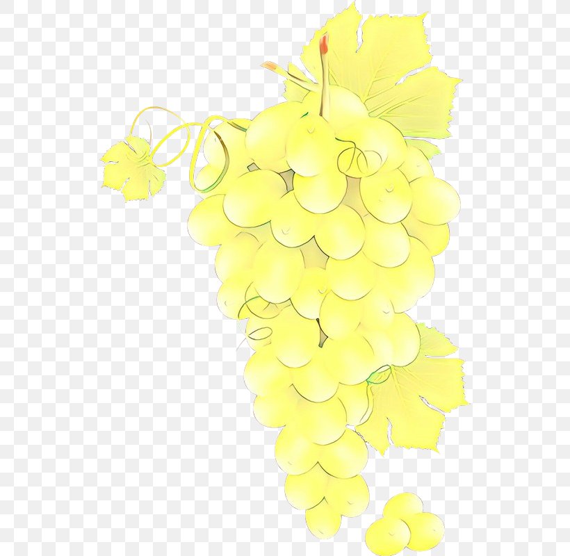 Floral Leaves, PNG, 534x800px, Grape, Floral Design, Flower, Grape Leaves, Grapevine Family Download Free