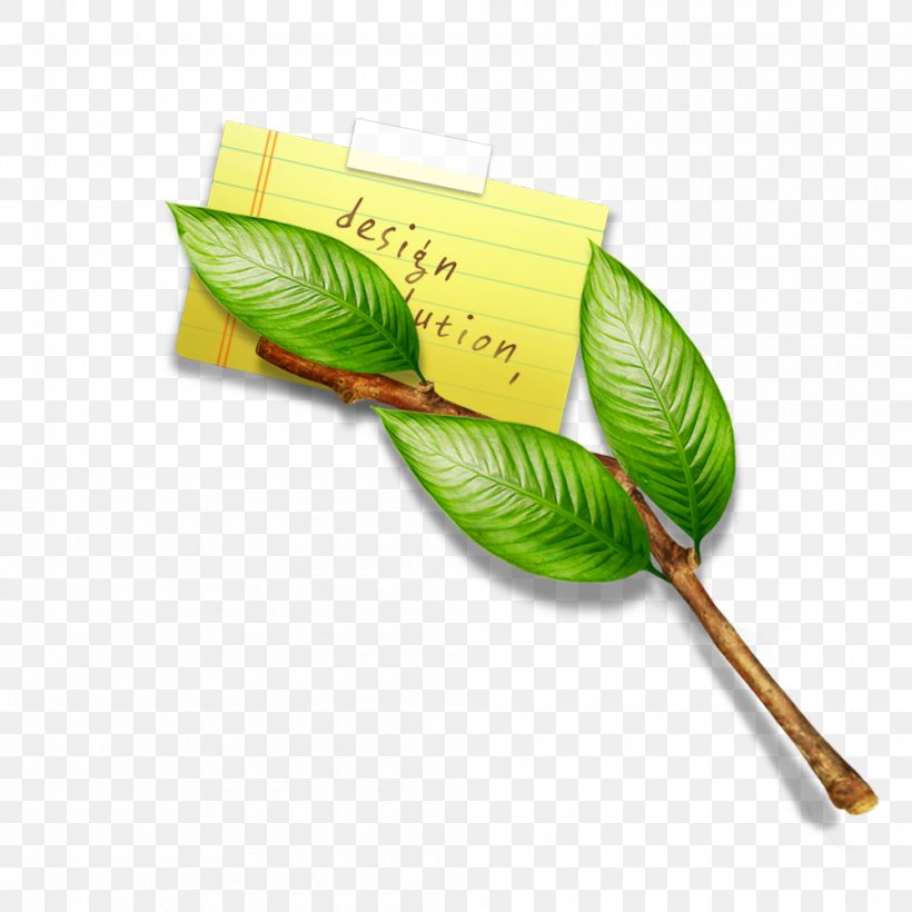 Leaf Green Illustration, PNG, 1000x1000px, Leaf, Branch, Designer, Germination, Green Download Free