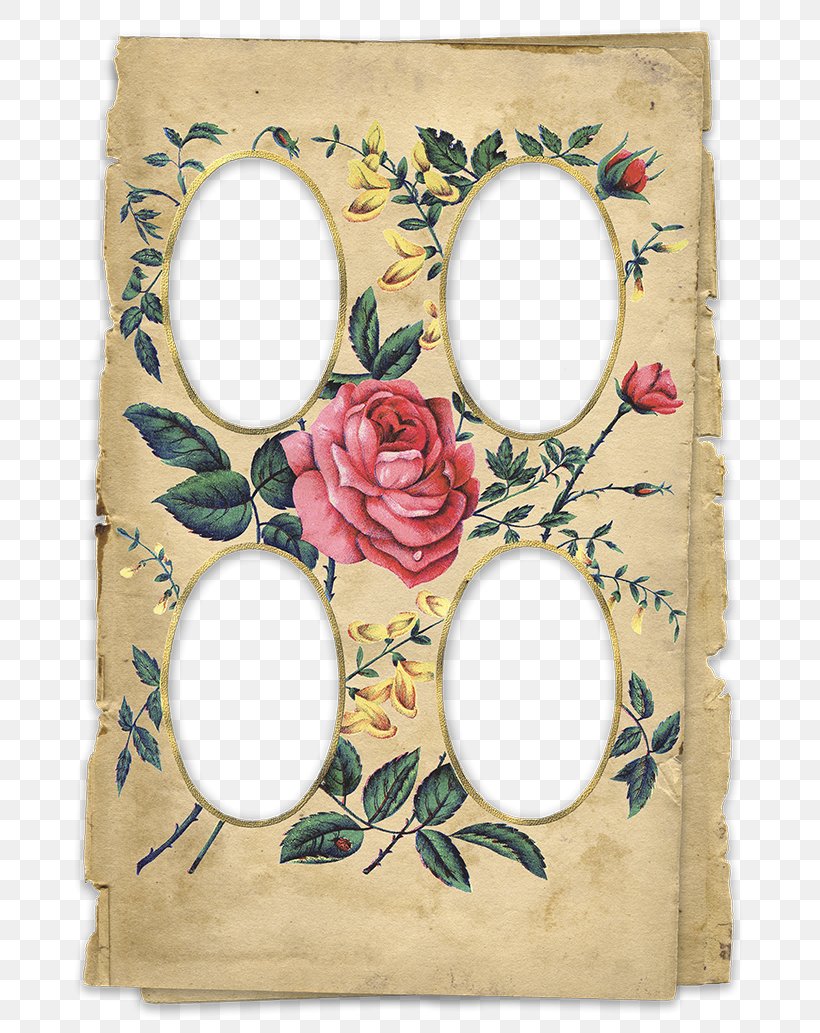 Picture Frames Flower, PNG, 730x1033px, Picture Frames, Flower, Picture Frame Download Free