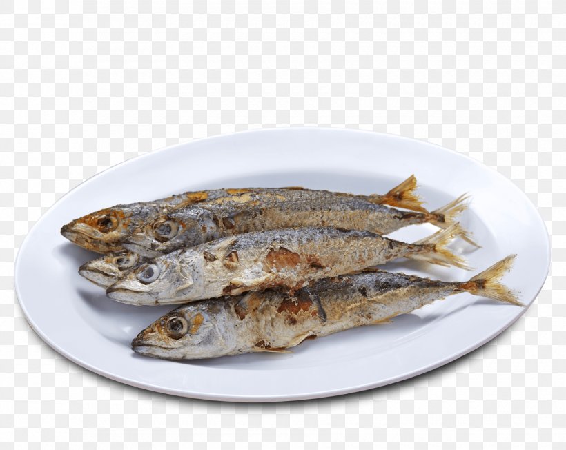 Sardine Pacific Saury Tinapa Fish Products Anchovies As Food, PNG, 1780x1416px, Sardine, Anchovies As Food, Anchovy, Anchovy Food, Animal Source Foods Download Free