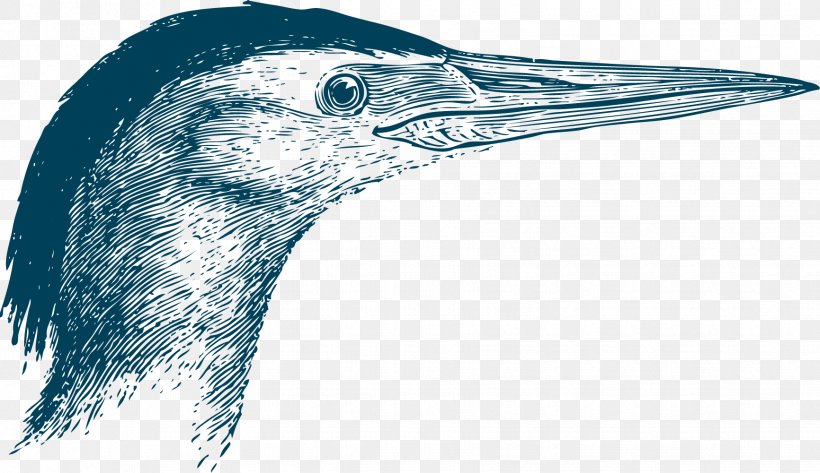 Goose Beak Bird Swallow, PNG, 1732x1001px, Goose, Anser, Beak, Bird, Canada Goose Download Free