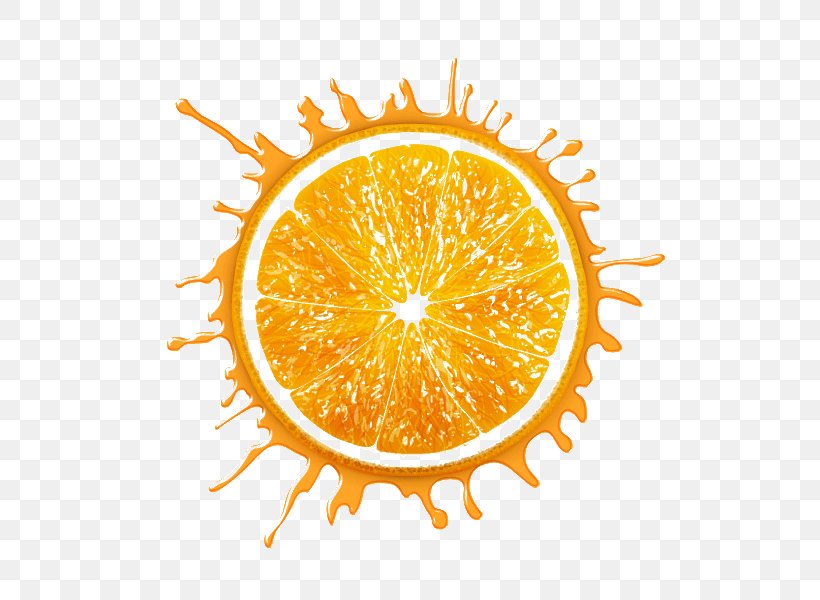 Lemon Drawing, PNG, 600x600px, Lemon, Bitter Orange, Citric Acid, Citrus, Drawing Download Free