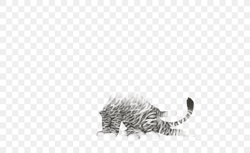 Whiskers Cat Drawing /m/02csf Tail, PNG, 640x500px, Whiskers, Big Cat, Big Cats, Black And White, Carnivoran Download Free