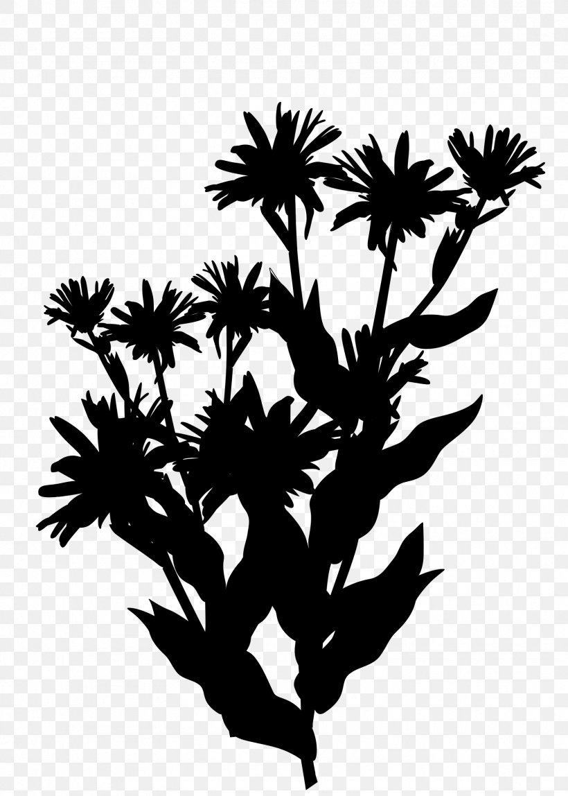Clip Art Vector Graphics Image Drawing Watercolor Painting, PNG, 1714x2400px, Drawing, Art, Blackandwhite, Botany, Branch Download Free