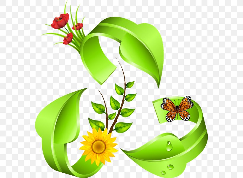 Environmental Protection Floral Design Environmental Movement Natural Environment Environmentally Friendly, PNG, 583x600px, Environmental Protection, Artwork, Cut Flowers, Environment, Environmental Movement Download Free