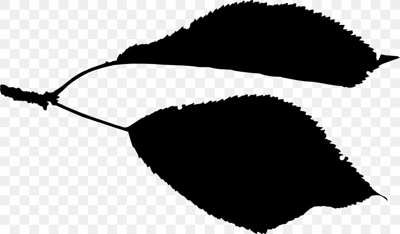 Leaf Clip Art Line Black M, PNG, 3286x1923px, Leaf, Black M, Blackandwhite, Lip, Plant Download Free