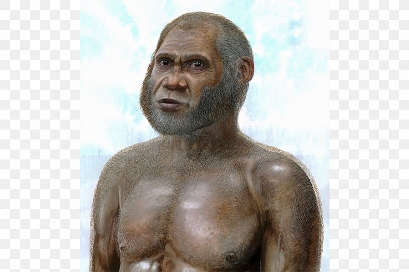 Neanderthal Red Deer Cave People Homo Sapiens Denisovan, PNG, 900x600px, Watercolor, Cartoon, Flower, Frame, Heart Download Free
