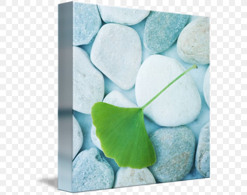 Petal Turquoise Photographic Printing Gemstone Imagekind, PNG, 589x650px, Petal, Aqua, Blue, Flower, Gemstone Download Free