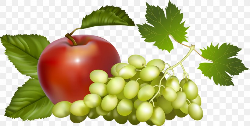 Fruit Hat Drawing Grape, PNG, 1500x762px, Fruit, Apple, Coconut, Diet Food, Drawing Download Free