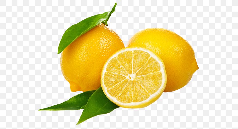 Lemon Fruit Vegetable Drink Aufguss, PNG, 570x445px, Lemon, Aufguss, Bitter Orange, Citric Acid, Citron Download Free