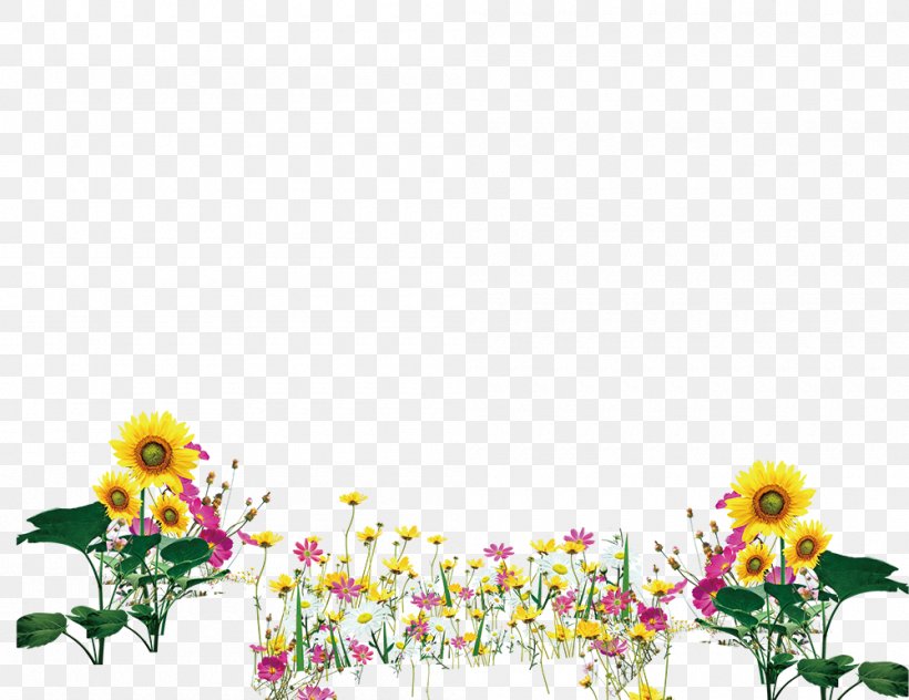 Floral Design Petal Flower Designer, PNG, 1000x771px, Floral Design, Border, Designer, Flora, Floristry Download Free