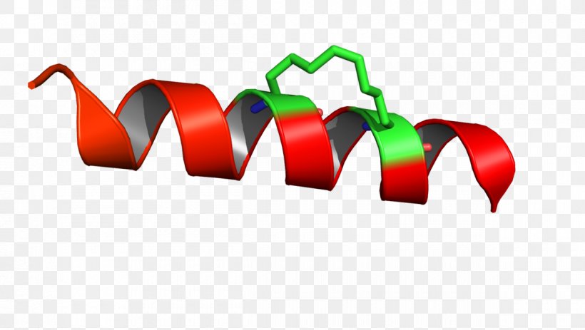 Stapled Peptide Alpha Helix Defensin Pi Helix, PNG, 1200x678px, Peptide, Alpha Helix, Brand, Chemical Bond, Defensin Download Free