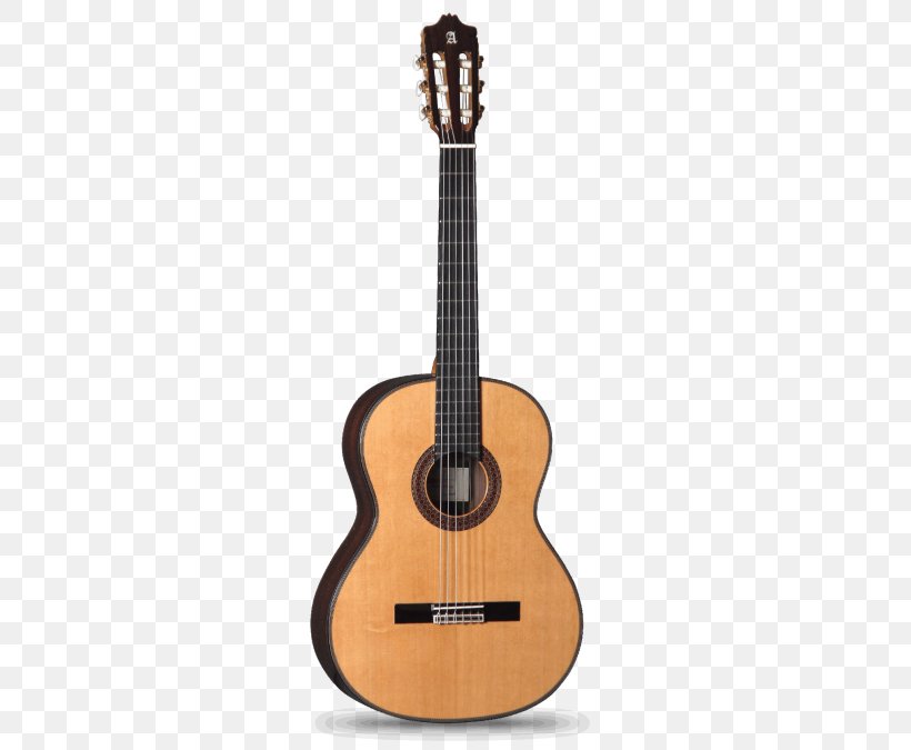 Alhambra Classical Guitar Acoustic Guitar Flamenco Guitar, PNG, 500x675px, Watercolor, Cartoon, Flower, Frame, Heart Download Free