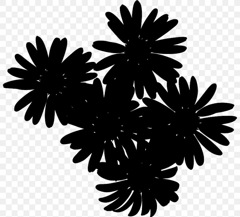 Clip Art Image Photography Flower, PNG, 800x743px, Photography, Black, Blackandwhite, Chamomile, Chrysanthemum Download Free