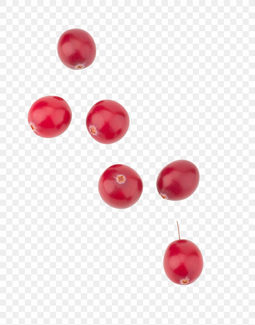 Cranberry Extract Fruit Lingonberry, PNG, 1950x2478px, Cranberry, Bead, Berry, Blueberry, Body Jewelry Download Free