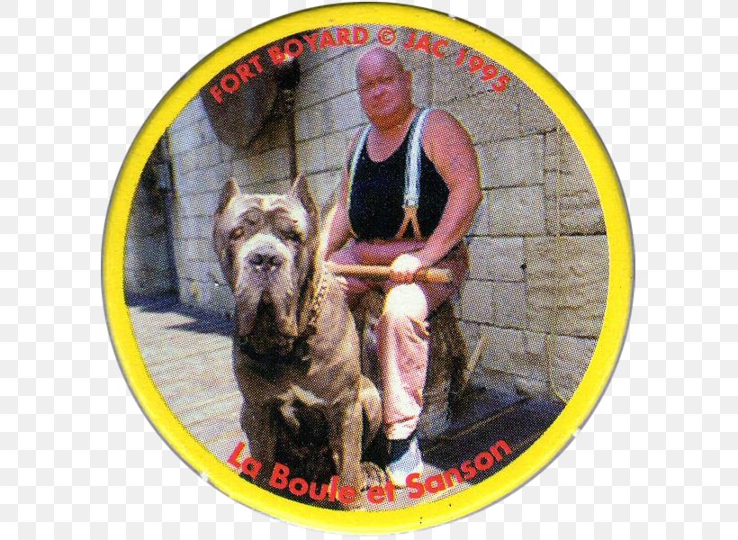 Fort Boyard Milk Caps Tazos Television In France Dog Breed, PNG, 600x600px, Fort Boyard, Army And Air Force Exchange Service, Carnivoran, Chester Cheetah, De Jommekesclub Download Free