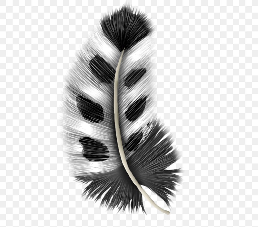 Image Graphic Design Grey Feather, PNG, 600x722px, Grey, Black, Black And White, Brush, Copyright Download Free