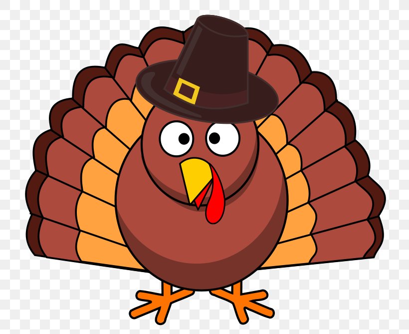 Thanksgiving Turkeys Turkey Meat Clip Art, PNG, 800x669px, Turkey, Beak, Bird, Cartoon, Chicken Download Free