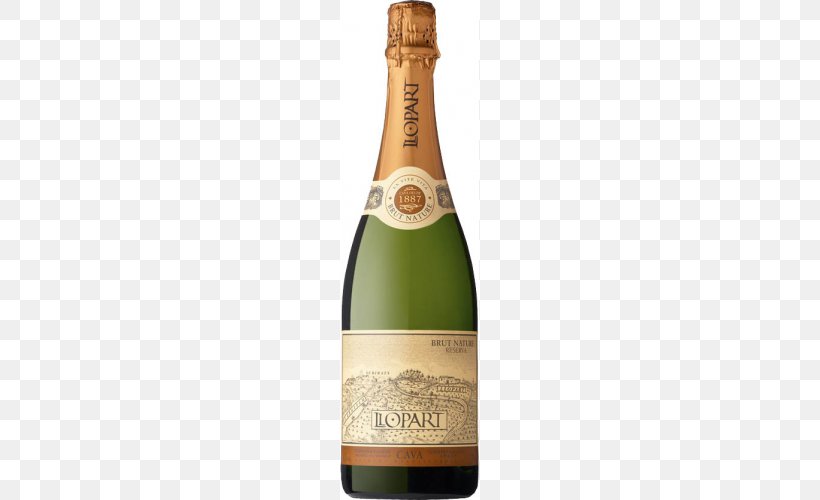 Cava DO Champagne Macabeo Penedès DO Wine, PNG, 500x500px, Cava Do, Alcoholic Beverage, Champagne, Chardonnay, Drink Download Free