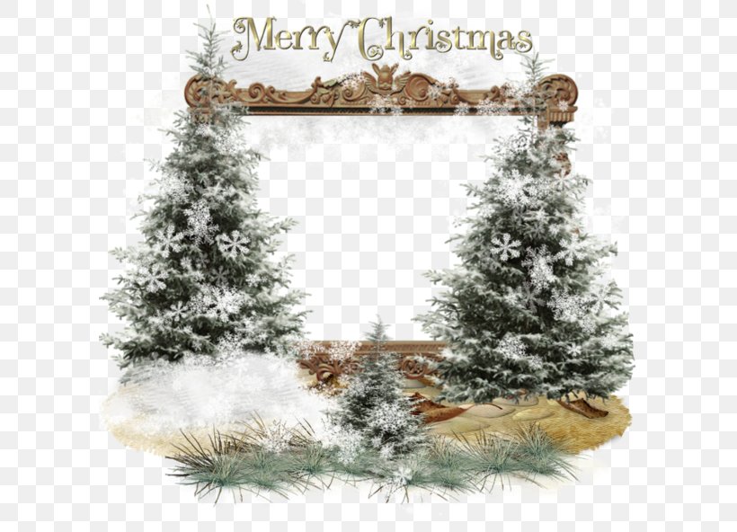 Christmas Tree Christmas Ornament Christmas Eve New Year, PNG, 600x592px, Christmas Tree, Branch, Christmas, Christmas And Holiday Season, Christmas Card Download Free