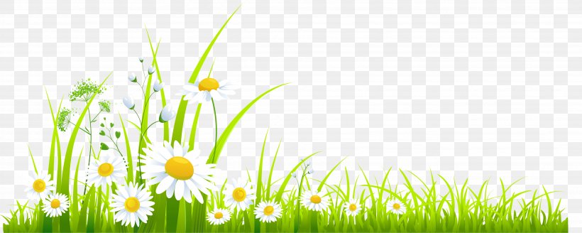 Clip Art, PNG, 3911x1566px, Spring, Commodity, Energy, Flora, Flower Download Free