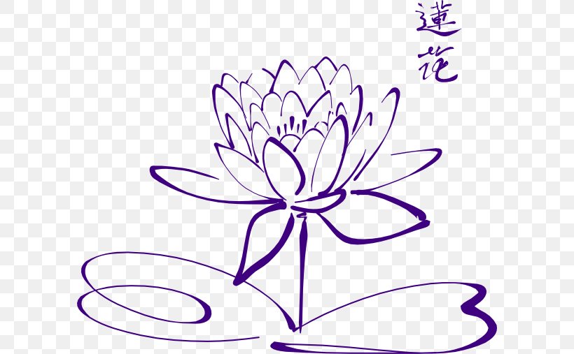 Drawing Sacred Lotus Line Art Image Clip Art, PNG, 600x507px, Drawing