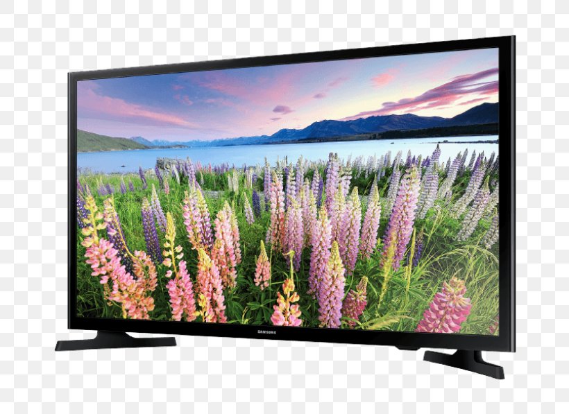 LED-backlit LCD 1080p High-definition Television Samsung, PNG, 800x597px, Ledbacklit Lcd, Computer Monitor, Display Device, Flat Panel Display, Flower Download Free