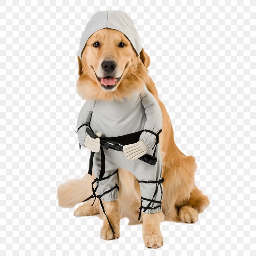 Pembroke Welsh Corgi Costume Pet Ninja Dog, PNG, 850x850px, Pembroke Welsh Corgi, Carnivoran, Cat, Companion Dog, Costume Download Free