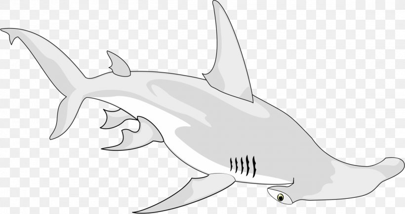 Shark Vertebrate Chondrichthyes Drawing Animal, PNG, 2324x1232px, Shark, Animal, Animal Figure, Artwork, Black And White Download Free