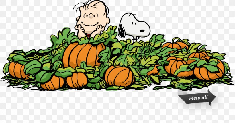 Snoopy Great Pumpkin Charlie Brown Clip Art Peanuts, PNG, 939x492px, Snoopy, Calabaza, Cartoon, Charlie Brown, Cucumber Gourd And Melon Family Download Free