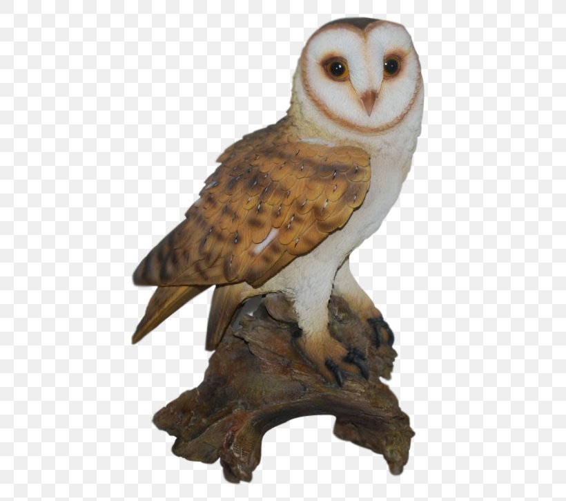 Tawny Owl Bird Barn Owl Ornament, PNG, 482x725px, Owl, Animal, Art, Barn Owl, Beak Download Free
