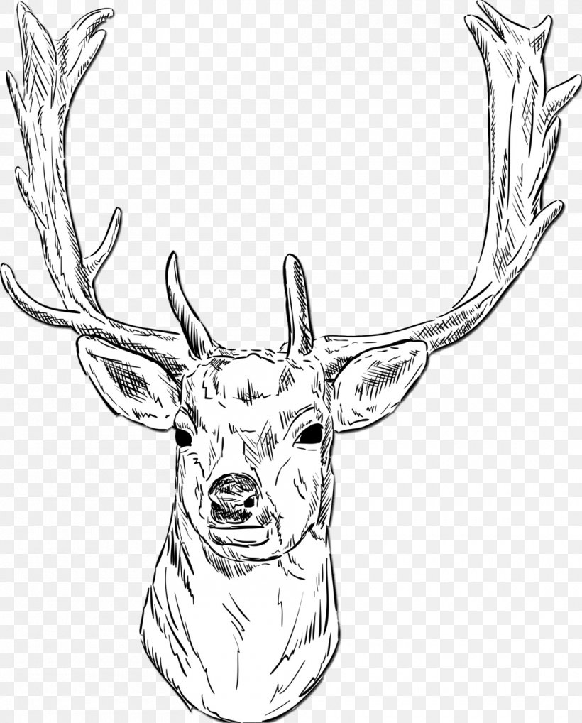 White-tailed Deer Roe Deer Fallow Deer Drawing, PNG, 1000x1242px, Deer, Antler, Artwork, Black And White, Drawing Download Free