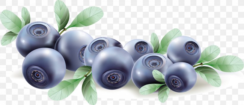 Blueberry Fruit Euclidean Vector Clip Art, PNG, 3000x1299px, Blueberry, Berry, Bilberry, Black Raspberry, Food Download Free