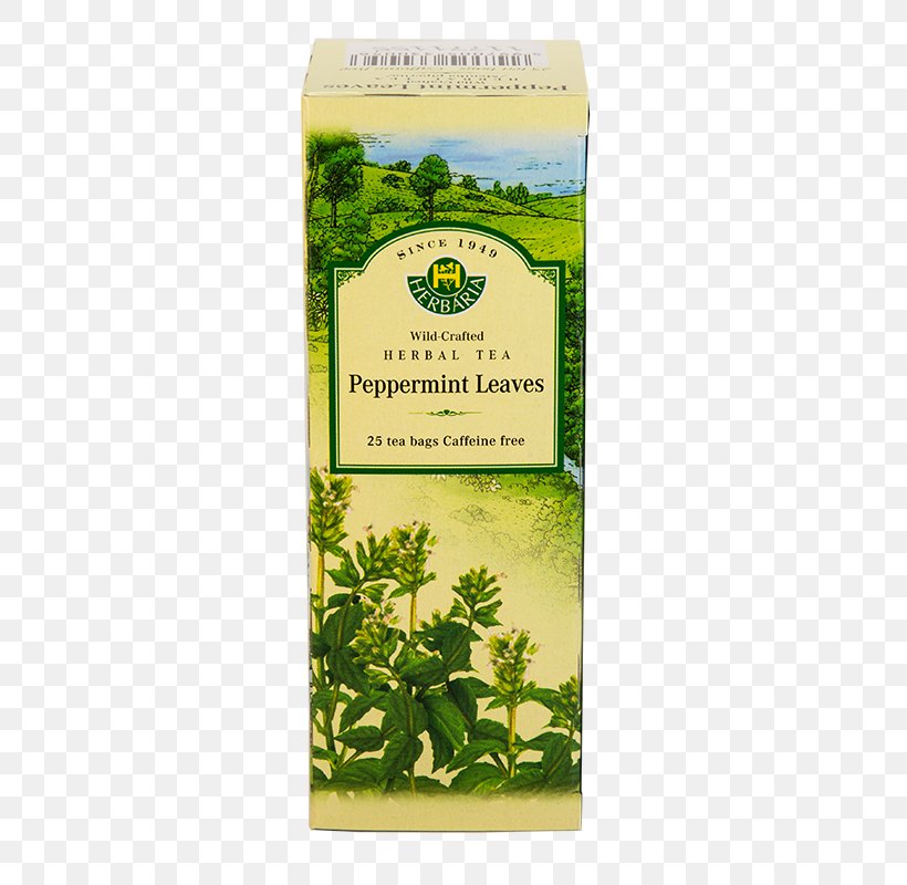 Green Tea Herb Tea Bag Pickwick, PNG, 482x800px, Tea, Coffee, Food, Fruit, Grass Download Free