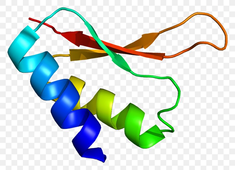 IGHMBP2 Gene Silencing Protein Mutation, PNG, 818x595px, Gene, Area, Artwork, Chromosome 11, Dna Download Free