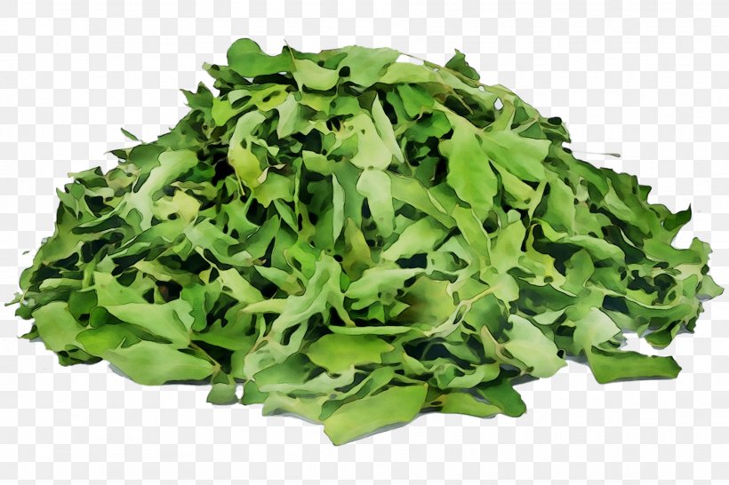 Royalty-free Stock Photography Shutterstock Image Stock.xchng, PNG, 1875x1250px, Royaltyfree, Art, Cabbage, Cruciferous Vegetables, Curly Kale Download Free