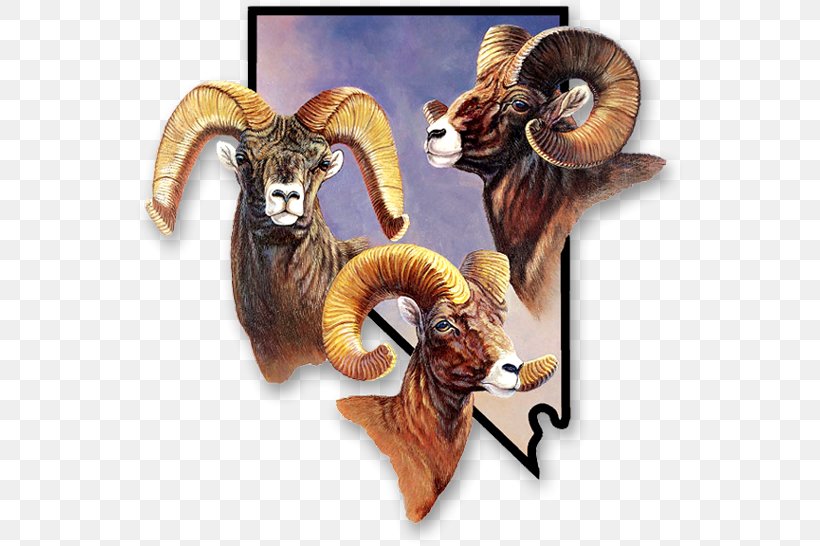 Sierra Nevada Bighorn Sheep Sierra Nevada Bighorn Sheep Argali Desert Bighorn Sheep, PNG, 550x546px, Nevada, Argali, Biggame Hunting, Bighorn Sheep, Caprinae Download Free