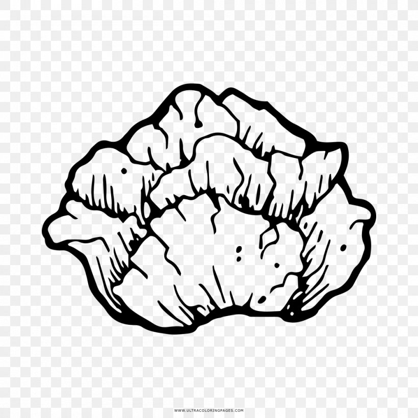 Drawing Coloring Book Vegetable Cabbage, PNG, 1000x1000px, Watercolor, Cartoon, Flower, Frame, Heart Download Free