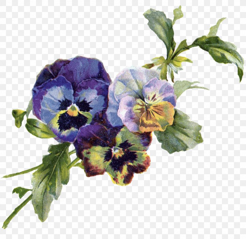 Pansy Art Violet Clip Art, PNG, 1097x1065px, Pansy, Annual Plant, Art, Artist, Blog Download Free