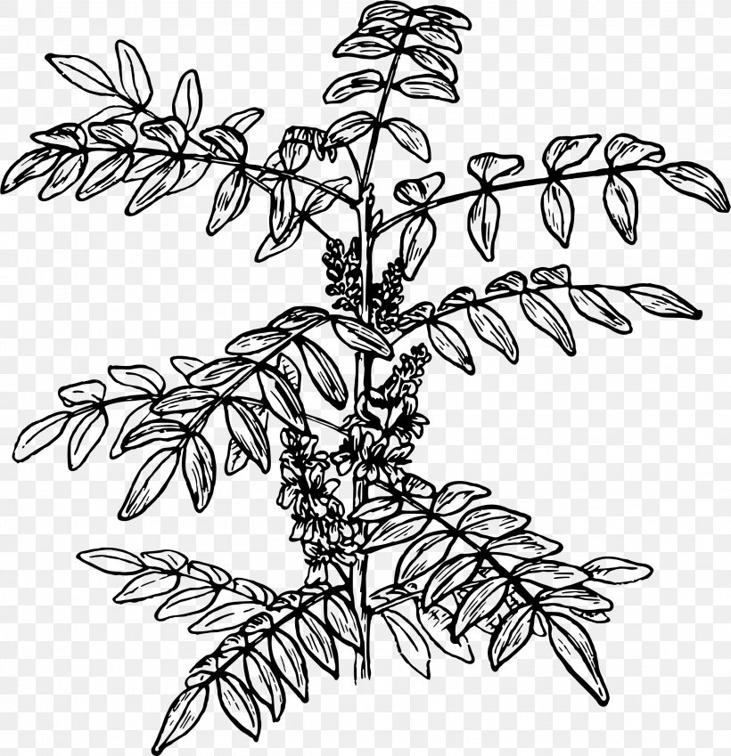 Twig Plant Stem Line Art Leaf Clip Art, PNG, 2316x2400px, Twig, Artwork, Black And White, Branch, Flower Download Free