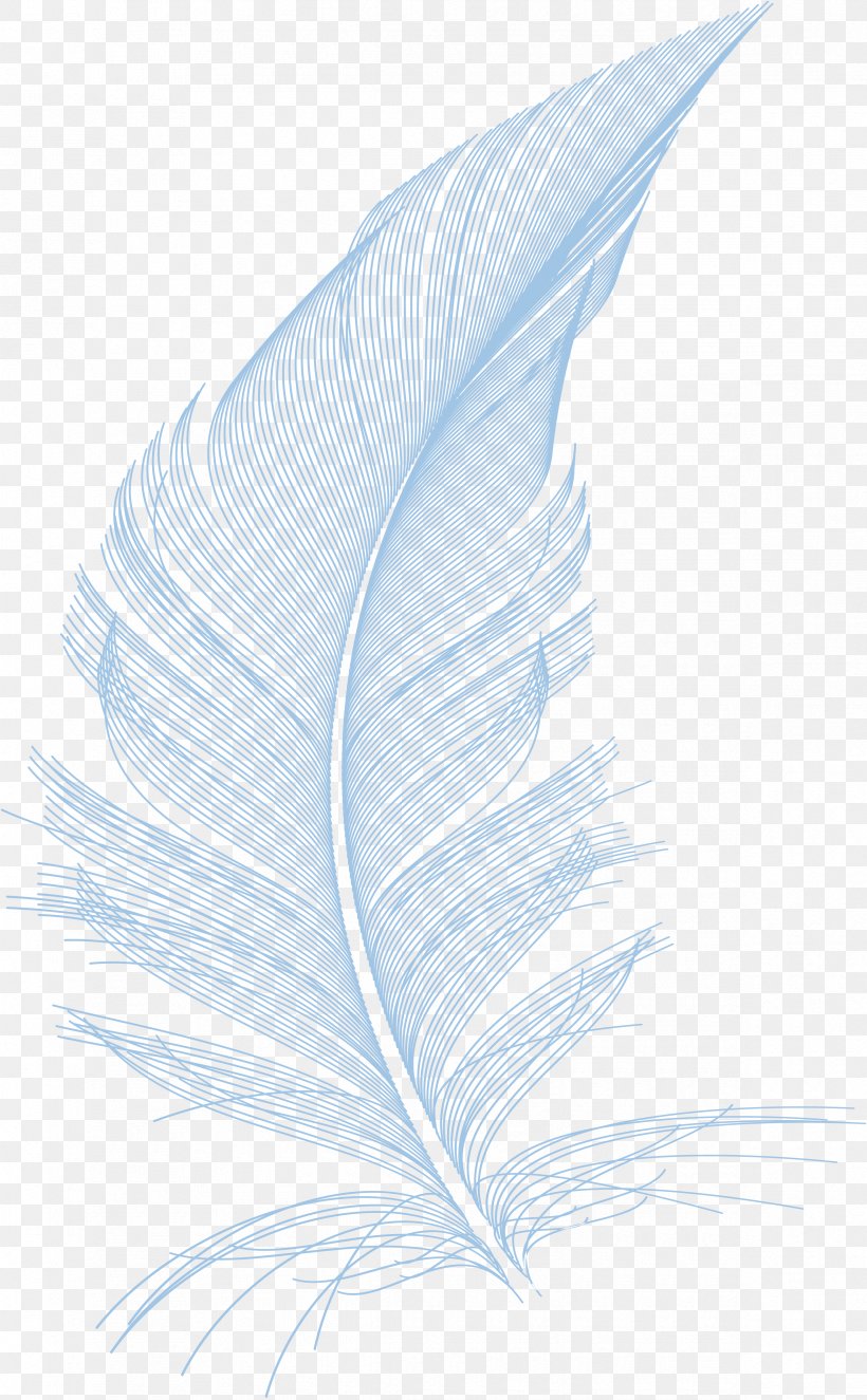Feather Line Microsoft Azure, PNG, 2375x3840px, Feather, Bird, Leaf, Microsoft Azure, Quill Download Free