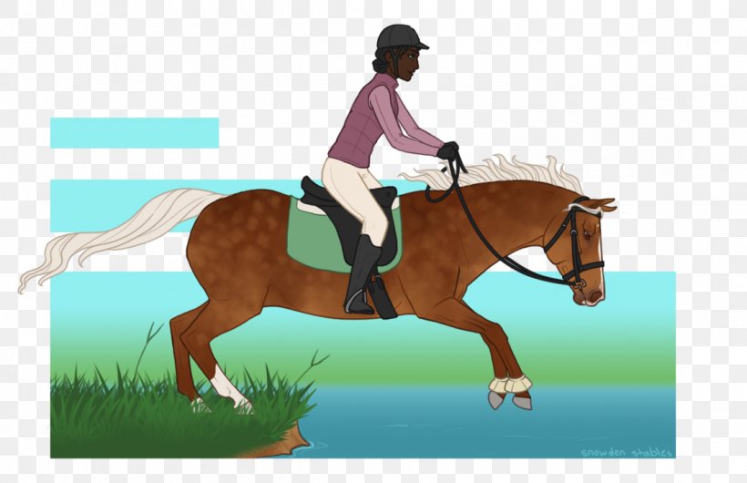 Hunt Seat Horse Stallion Bridle Dressage, PNG, 1111x719px, Hunt Seat, Animal Sports, Animal Training, Bit, Bridle Download Free
