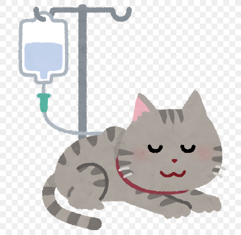 Pet Health Health Care, PNG, 800x800px, Pet Health, Cartoon, Cat, Health Care, Kitten Download Free