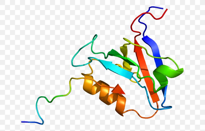PTPN13 Gene Protein Tyrosine Phosphatase PTPN11, PNG, 700x525px, Watercolor, Cartoon, Flower, Frame, Heart Download Free