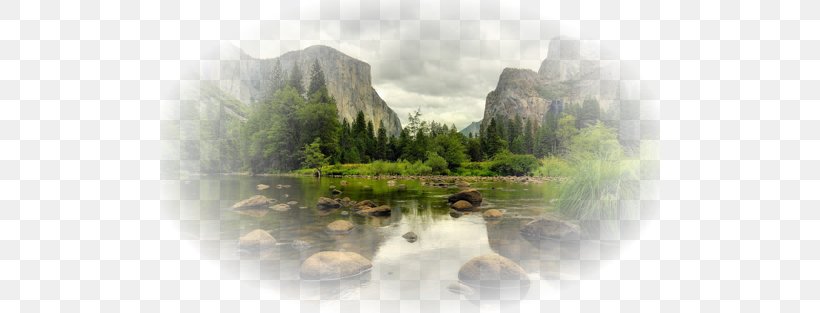 Yosemite Valley Glacier National Park Zion National Park, PNG, 500x313px, 4k Resolution, Yosemite Valley, Bank, Glacier National Park, Grass Download Free