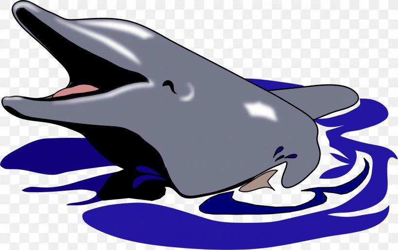 Common Bottlenose Dolphin Tucuxi Clip Art, PNG, 2370x1491px, Common Bottlenose Dolphin, Cobalt Blue, Copyright, Dolphin, Drawing Download Free