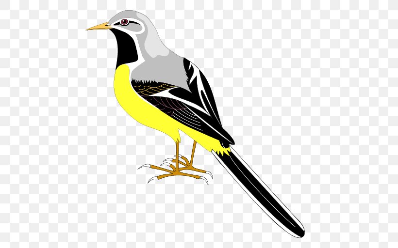 Draw Birds Clip Art, PNG, 512x512px, Bird, Beak, Draw Birds, Drawing, Fauna Download Free