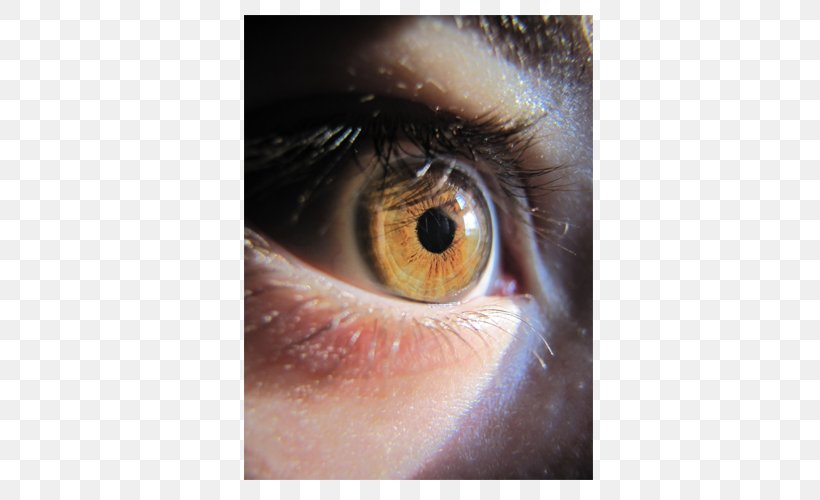 Light Human Eye Iris Iridology, PNG, 500x500px, Watercolor, Cartoon, Flower, Frame, Heart Download Free